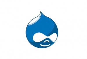 Drupal Based Portals